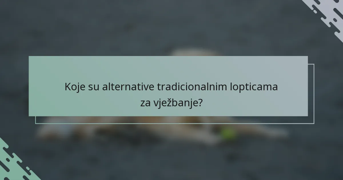 Koje su alternative tradicionalnim lopticama za vježbanje?