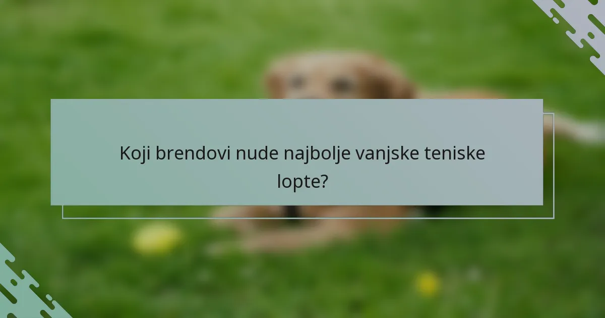 Koji brendovi nude najbolje vanjske teniske lopte?